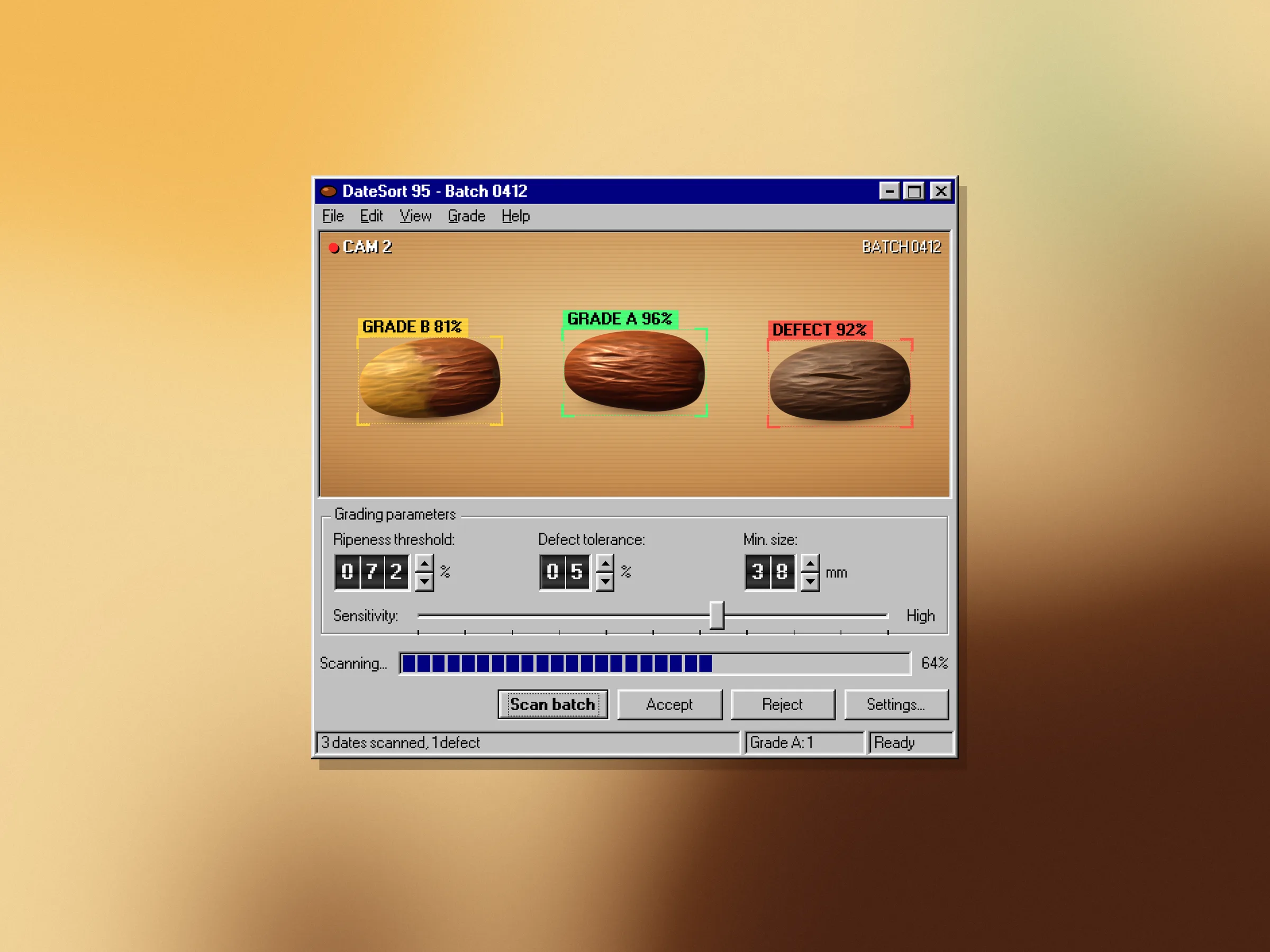 Grading dates with computer vision